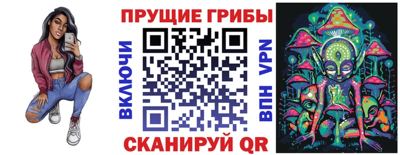 Галлюциногенные грибы мухоморы  дарнет шоп  Чадан 